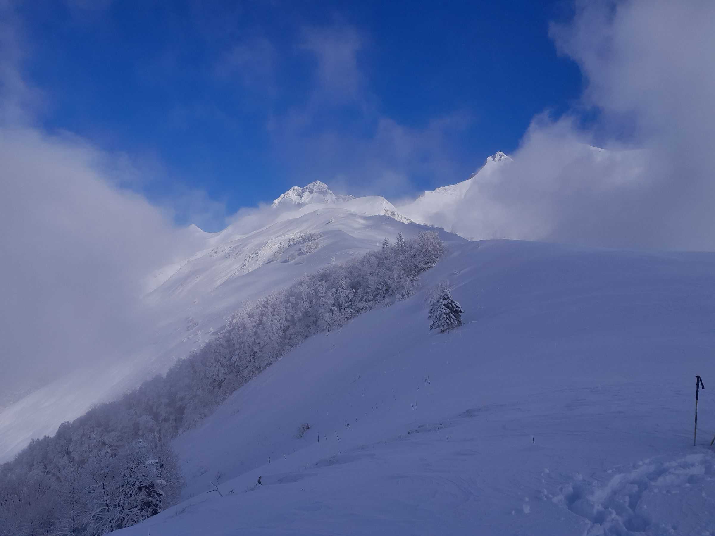 2025-11-27_12_44_33_227-GE_LQ