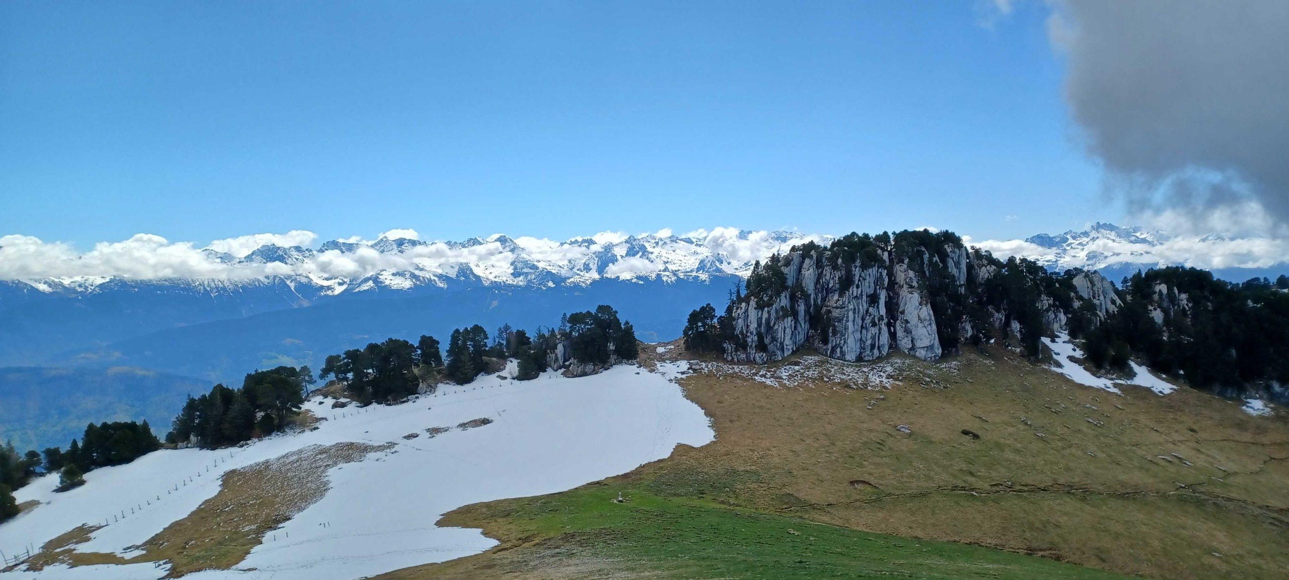 20250425_122628_petit-fichier-2