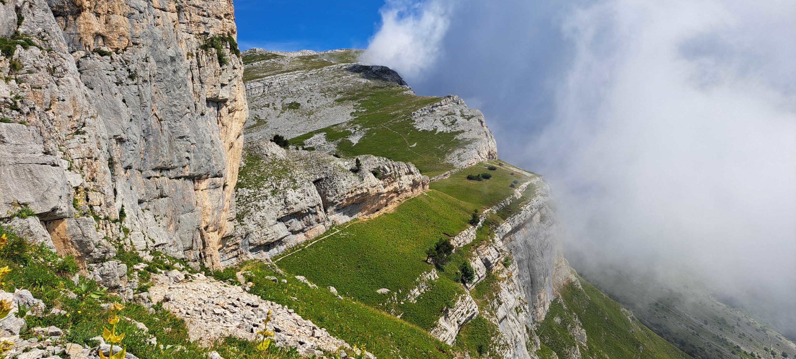 20250803_114709-FC_LQ-2