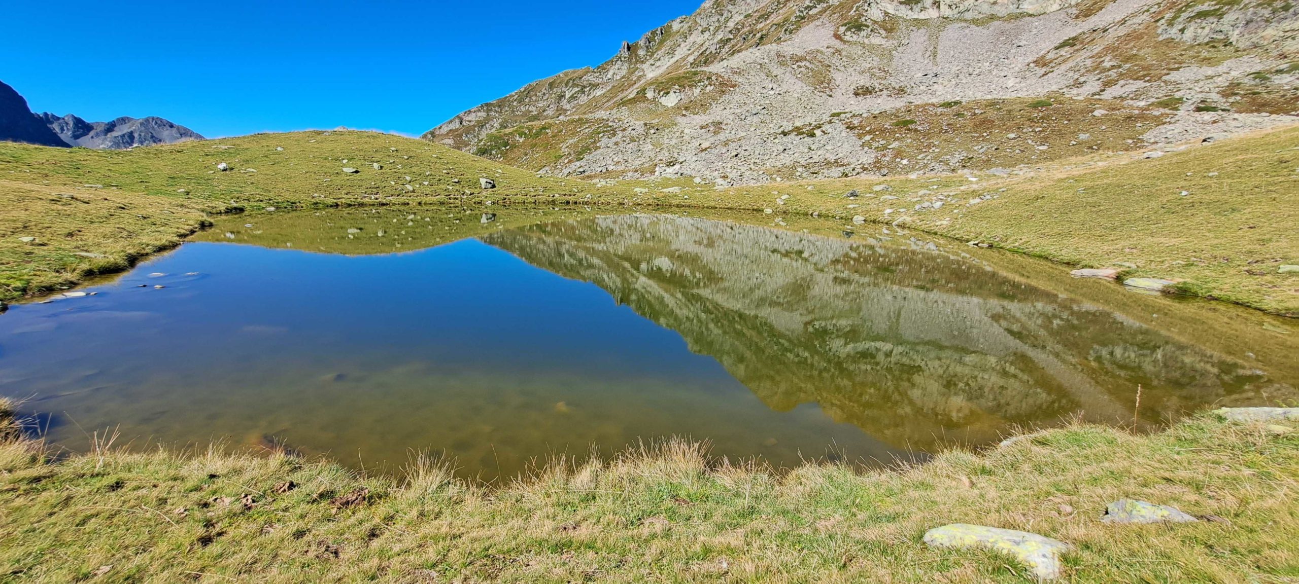 20250831_110929-FC_LQ_LQ