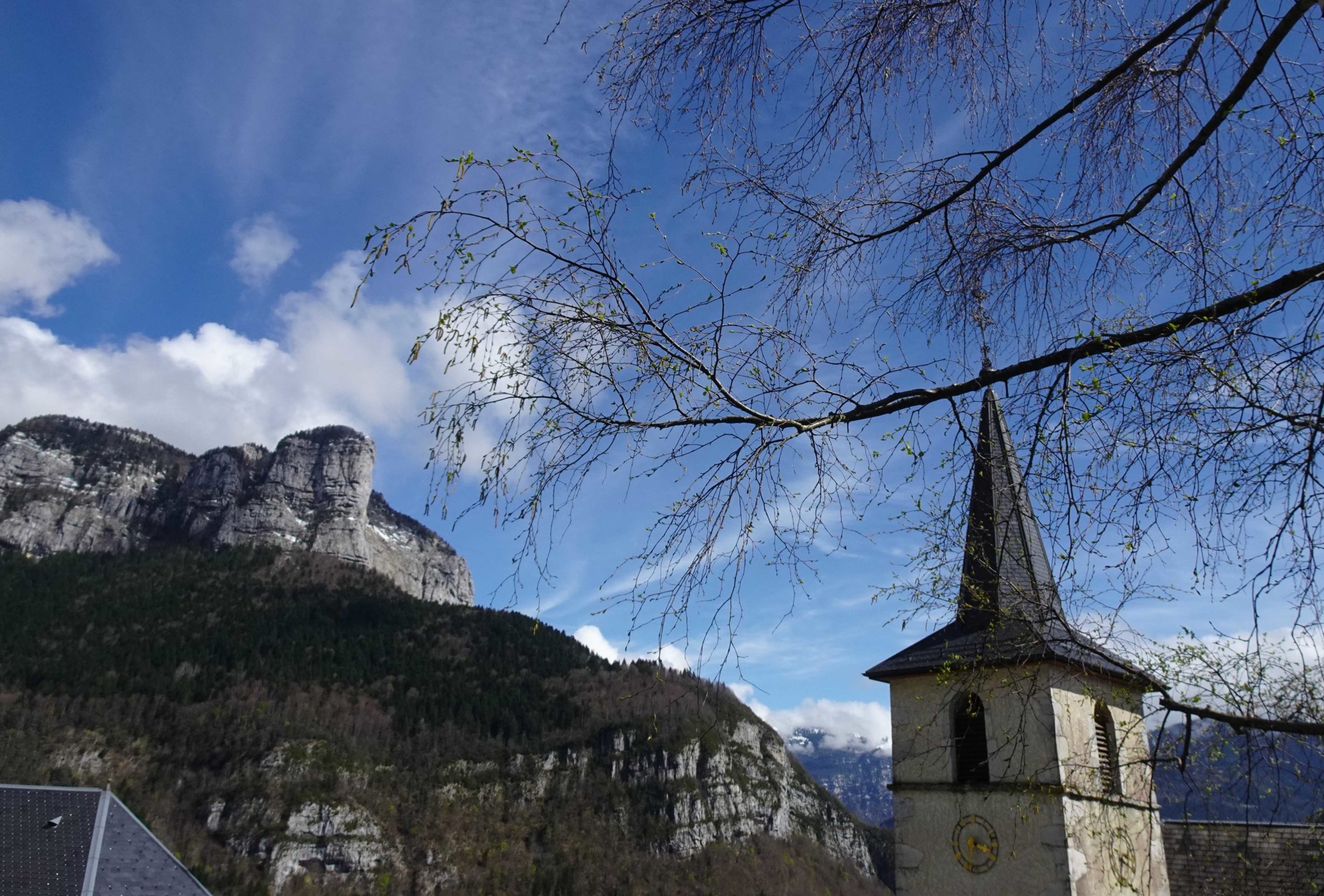 DSC03688_petit-fichier-1