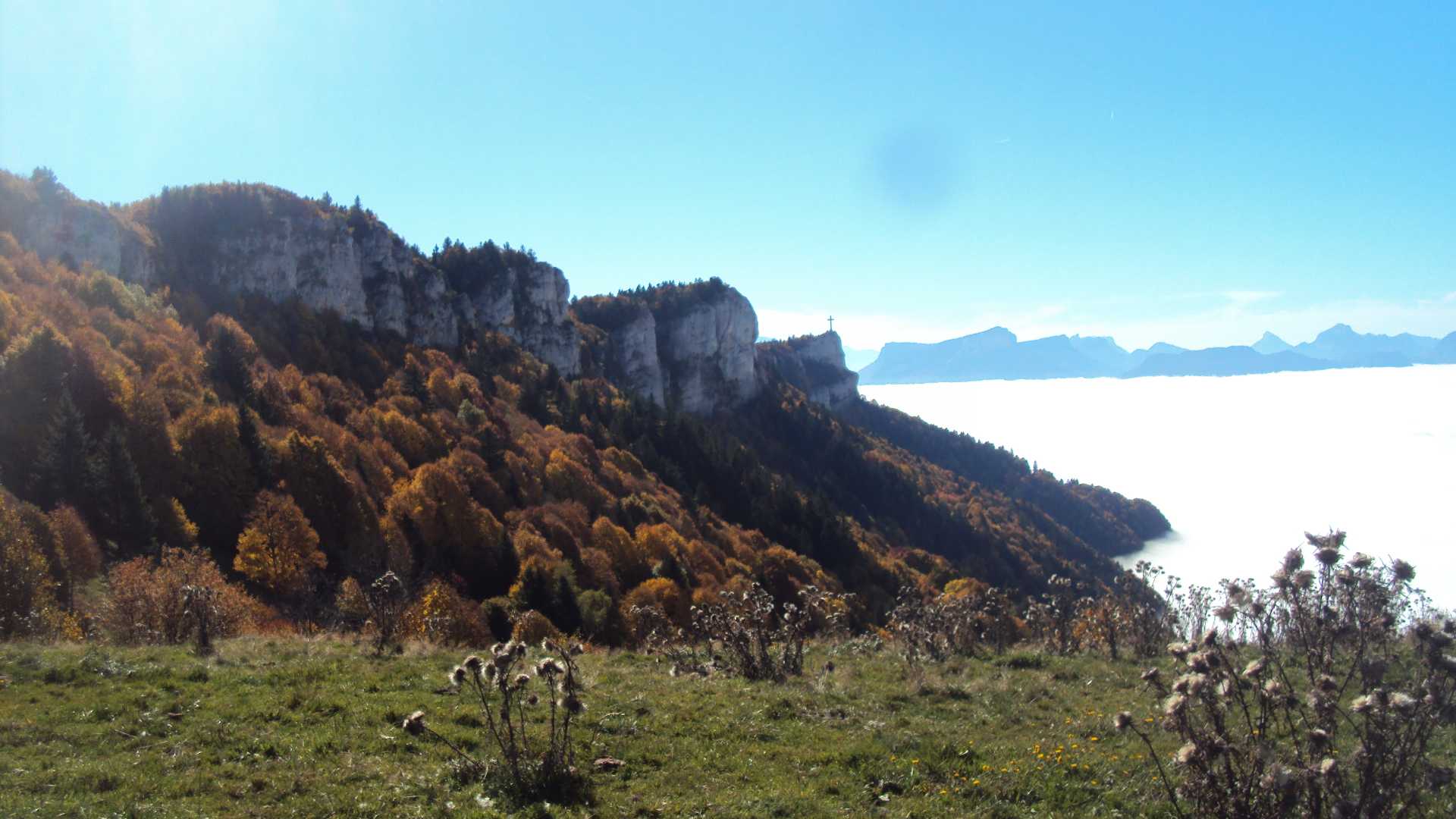 DSC08815_petit-fichier-3