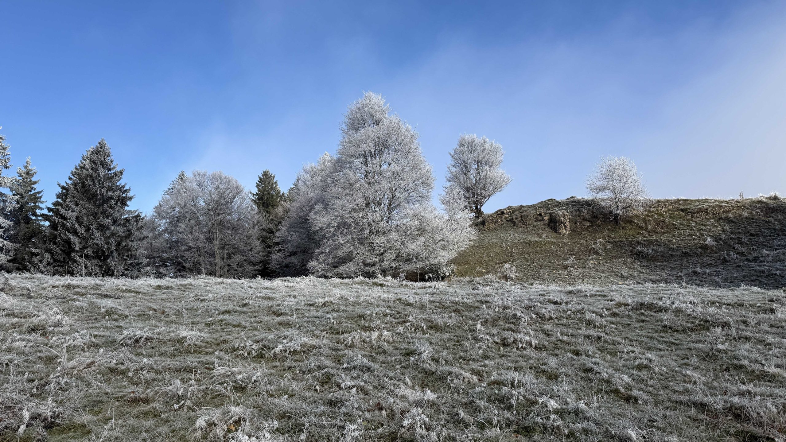 IMG_3962(1)_petit fichier