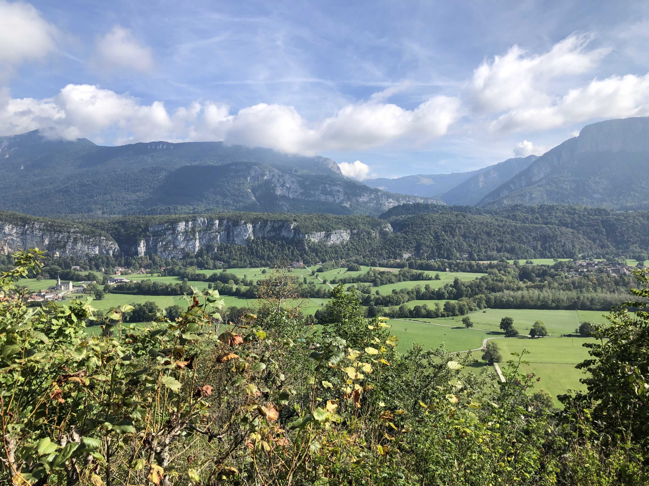 IMG_4769_petit-fichier