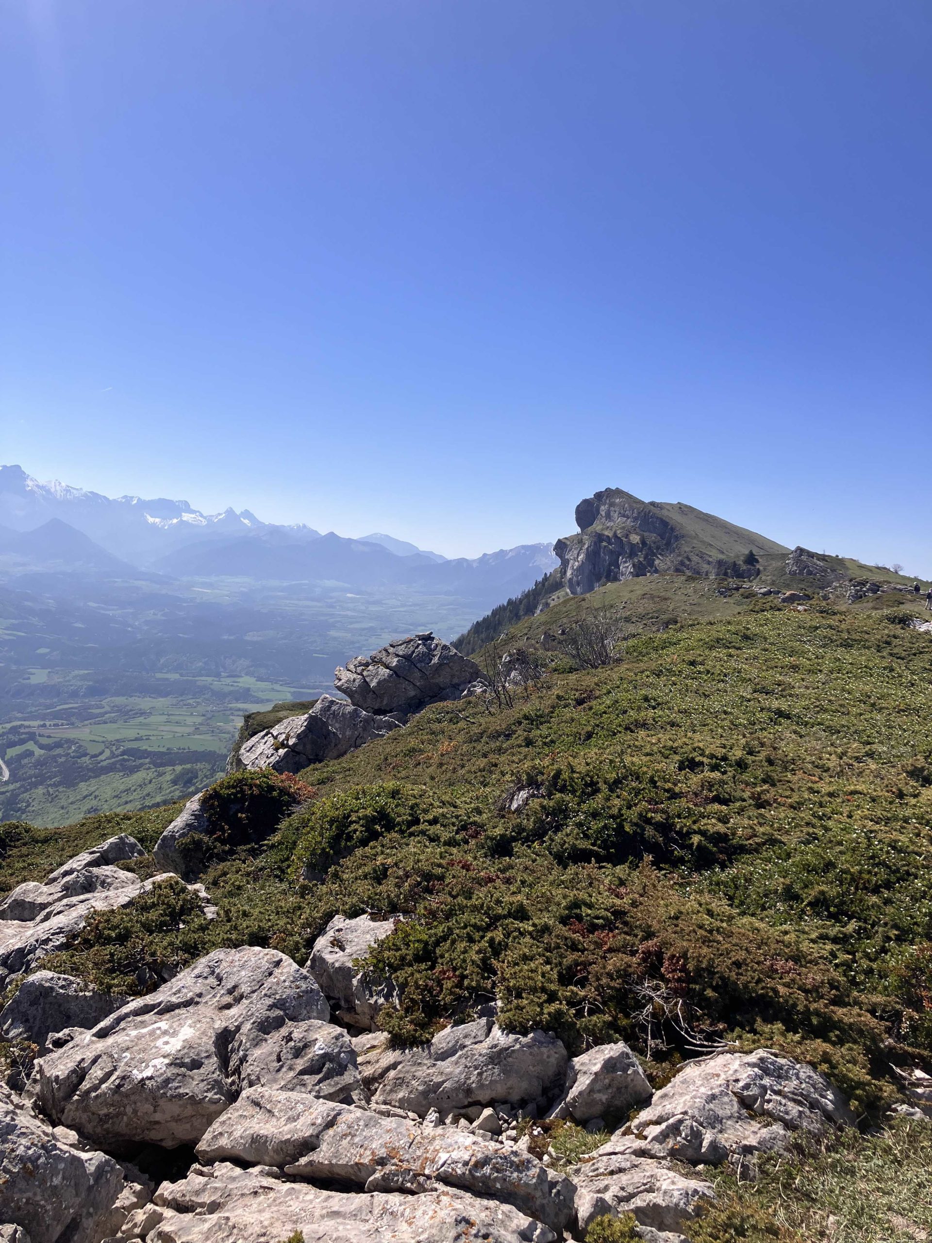 IMG_6805_petit-fichier-2