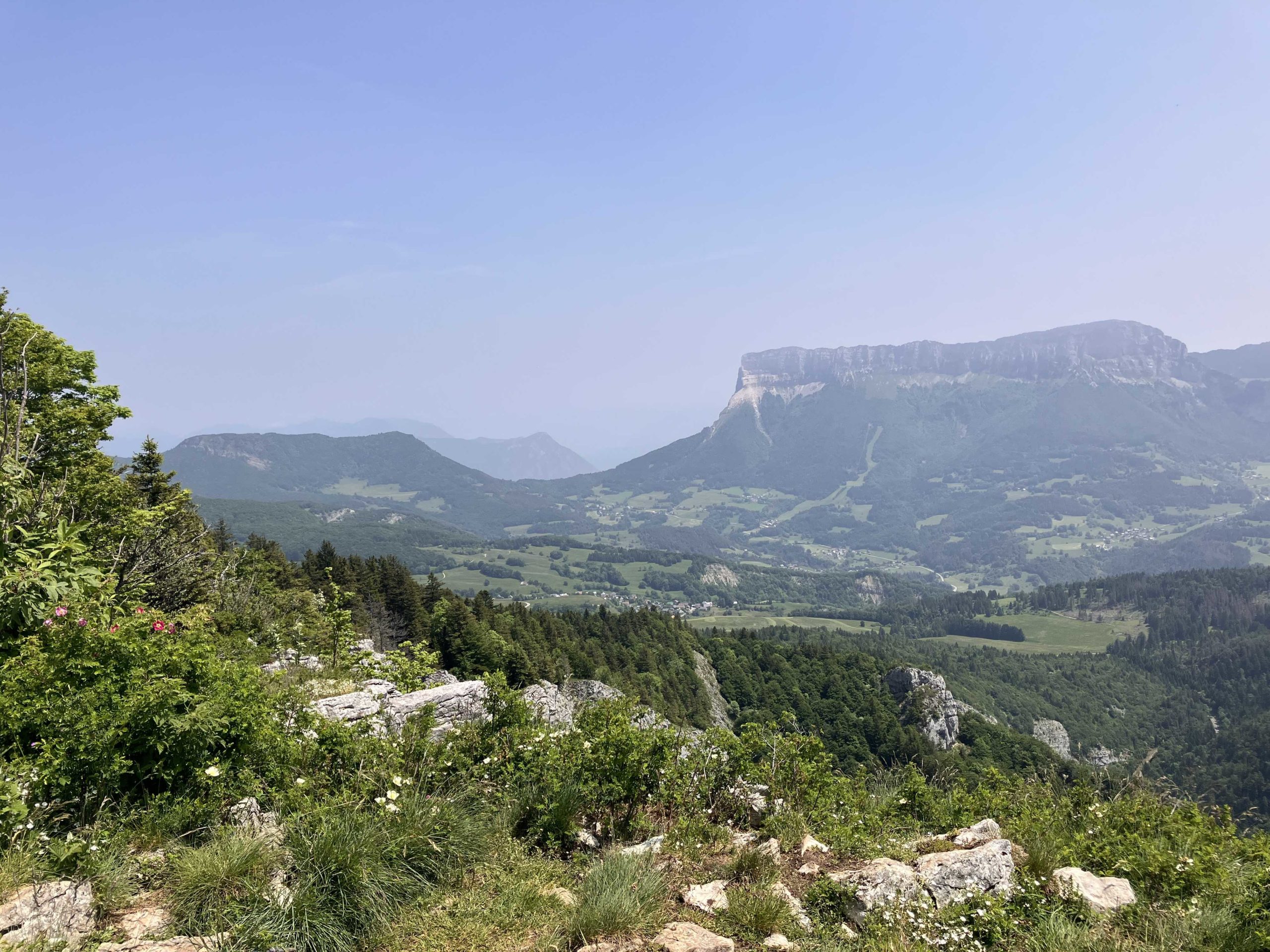 IMG_7242_petit-fichier-1