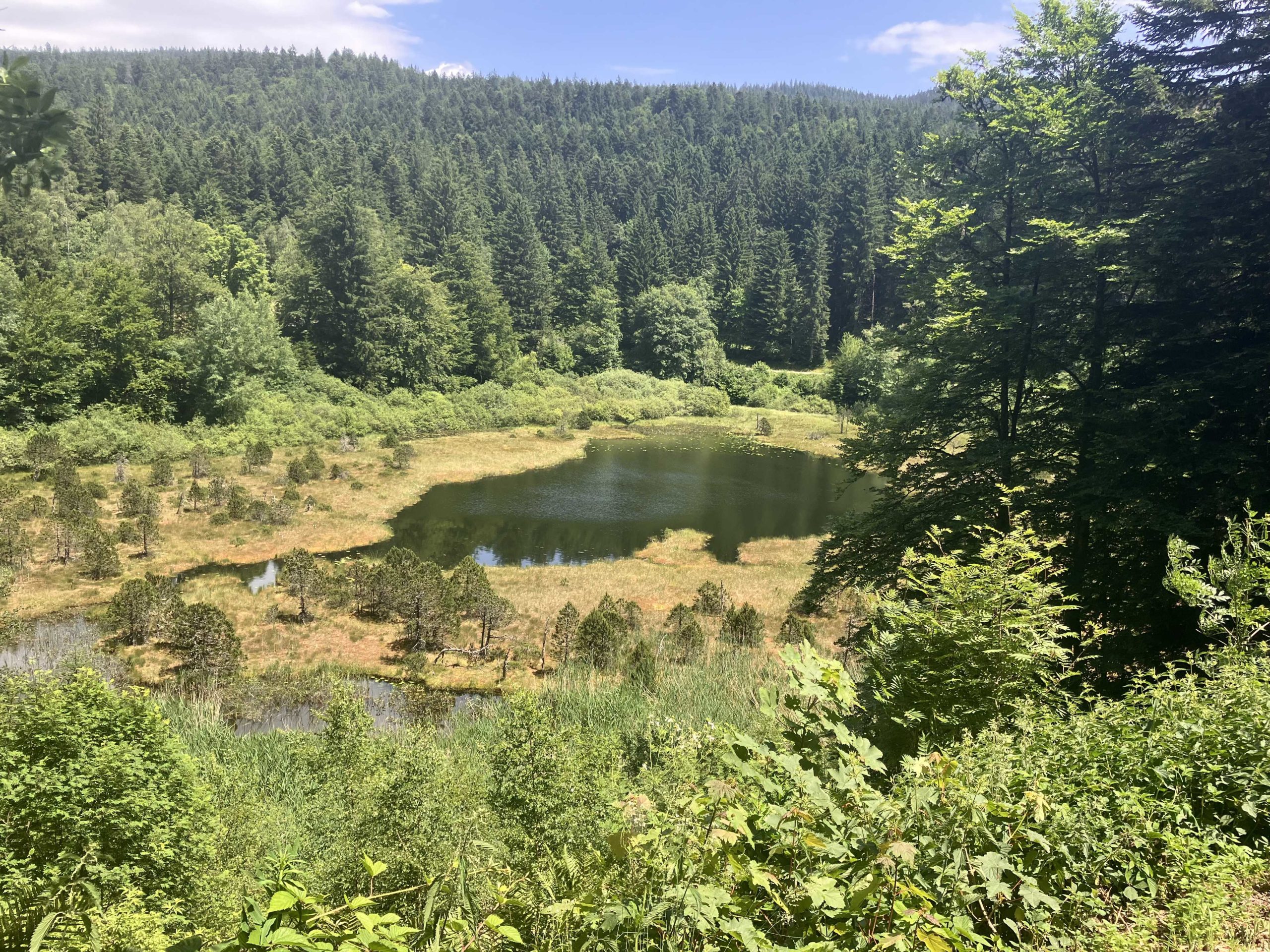 IMG_7295_petit-fichier-1