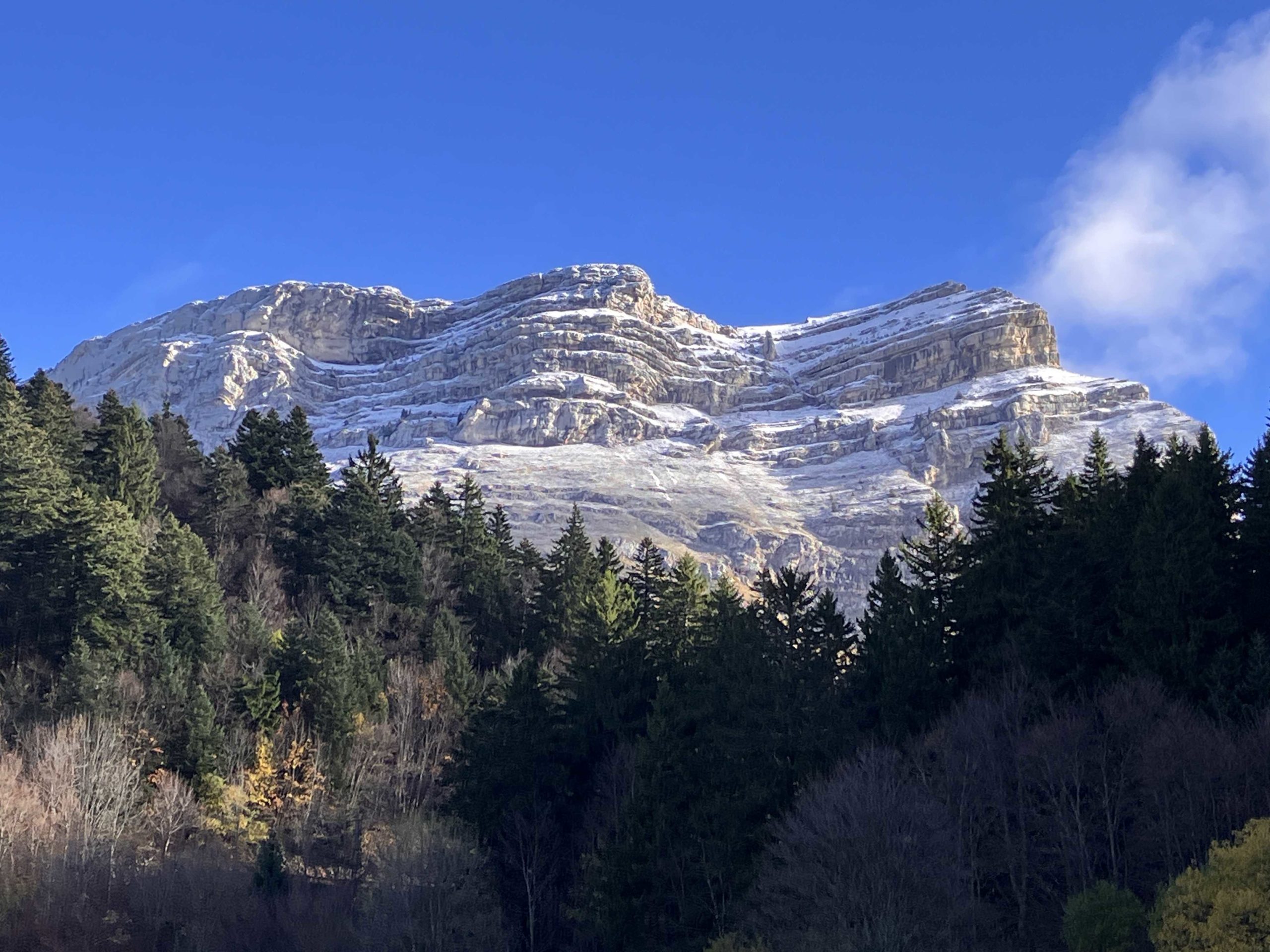 IMG_8543_petit-fichier-3