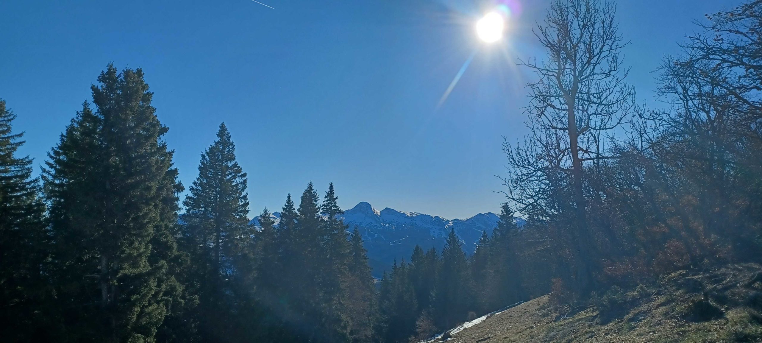 20251229_115010_petit-fichier-1