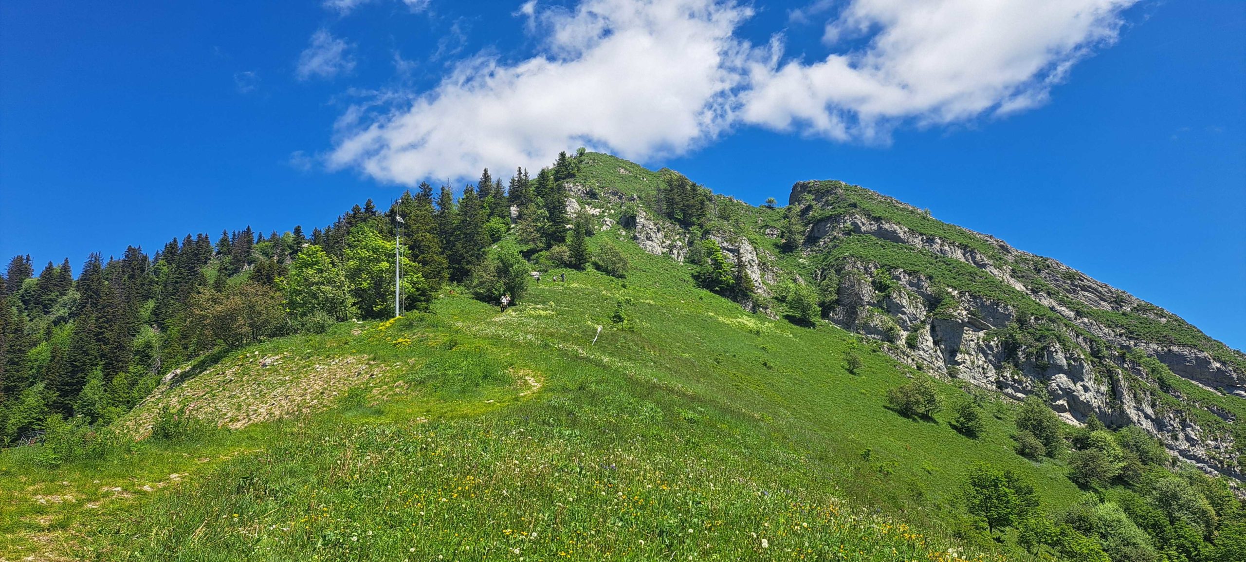 20260611_135849-la-scia_petit-fichier-1