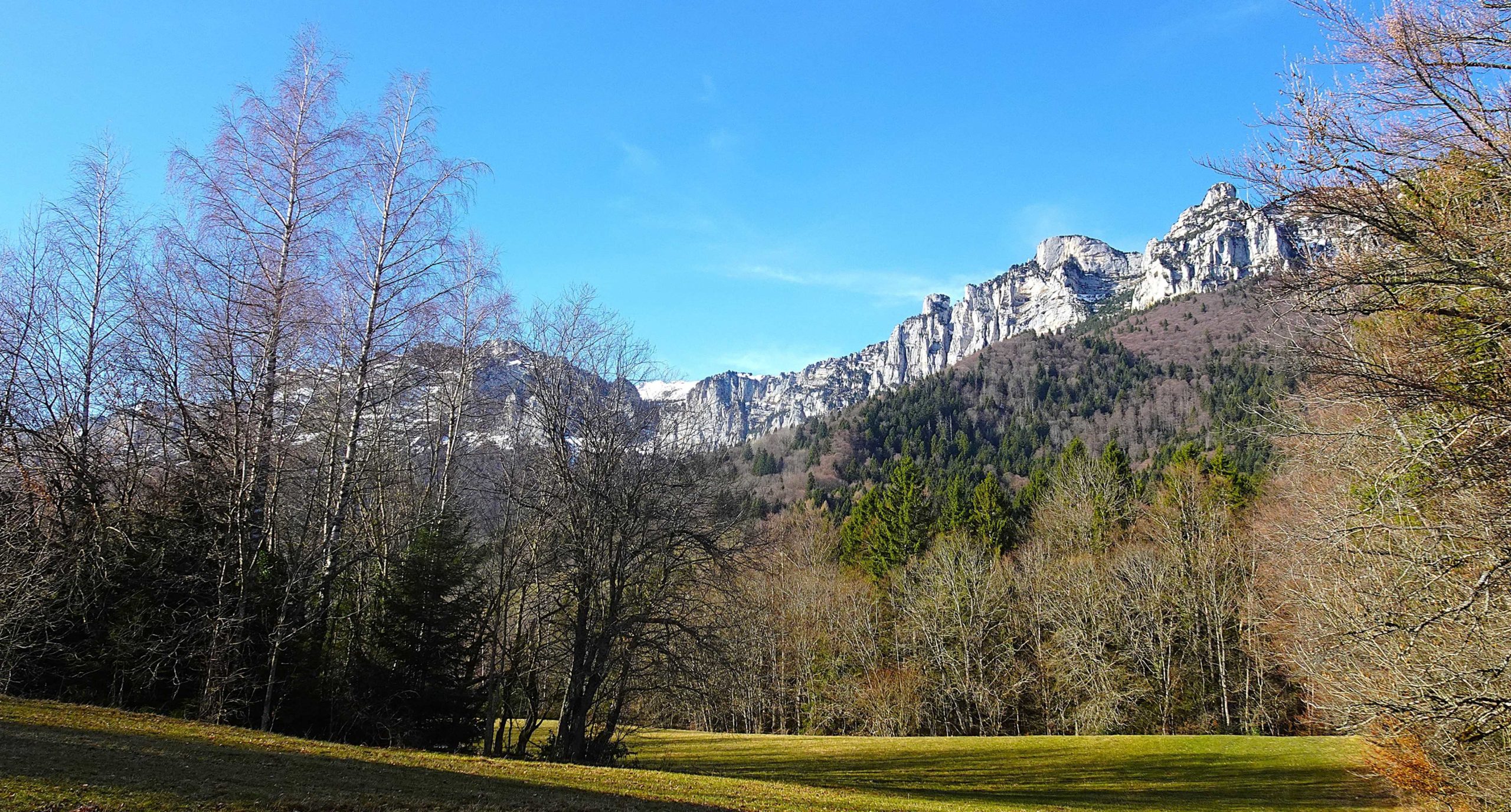 DSC03653_petit-fichier-1