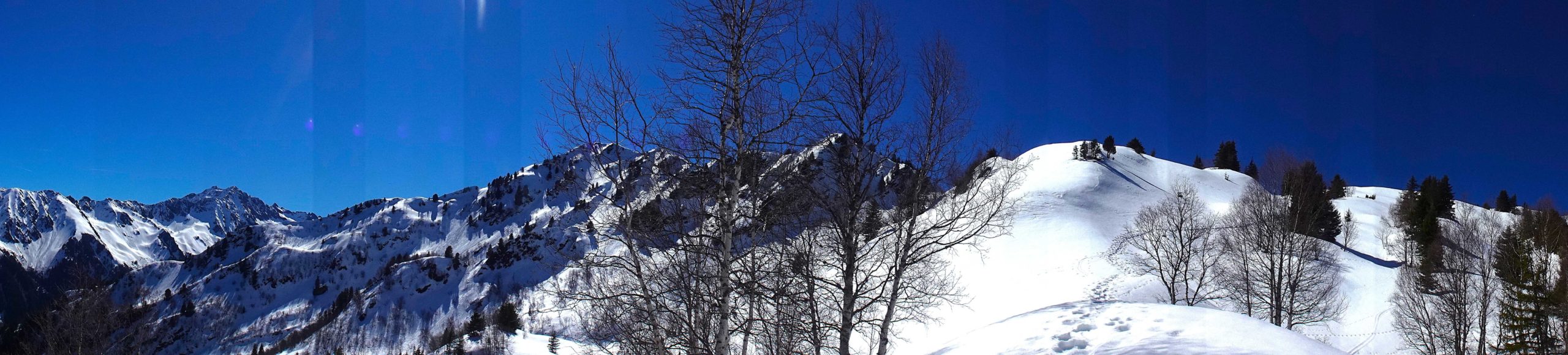 DSC04471_LQ