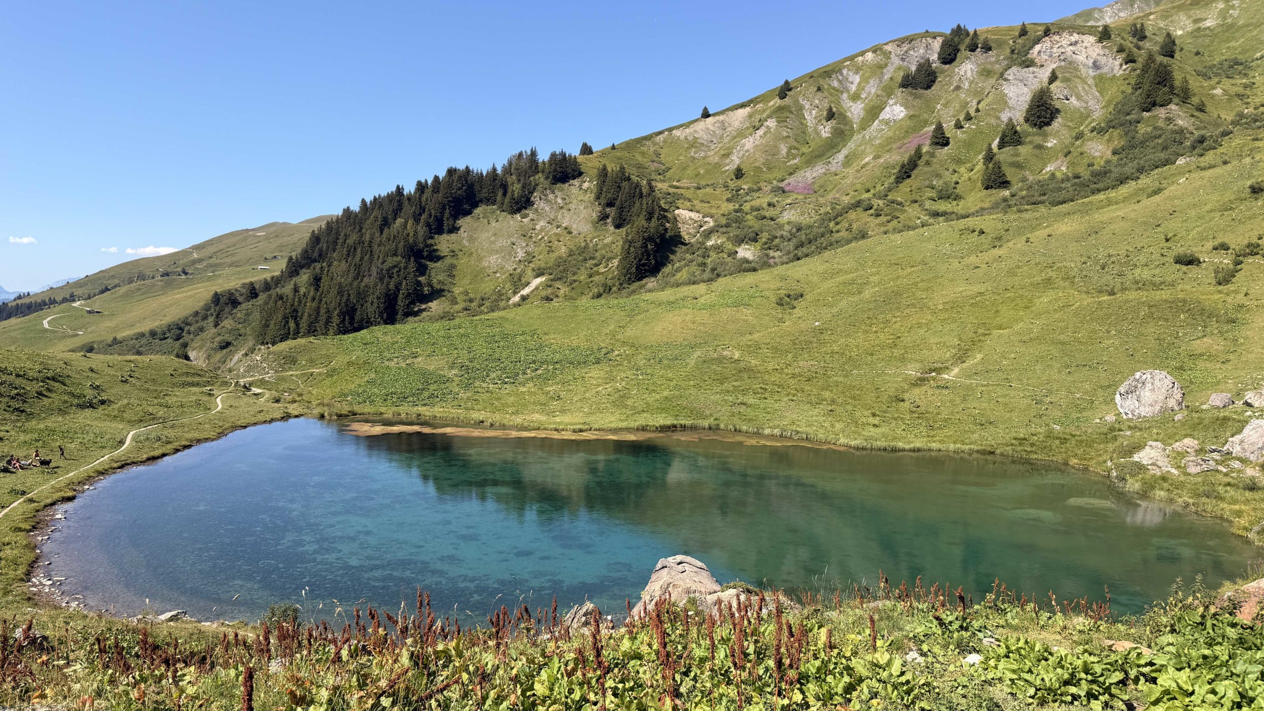 IMG_6253_petit fichier