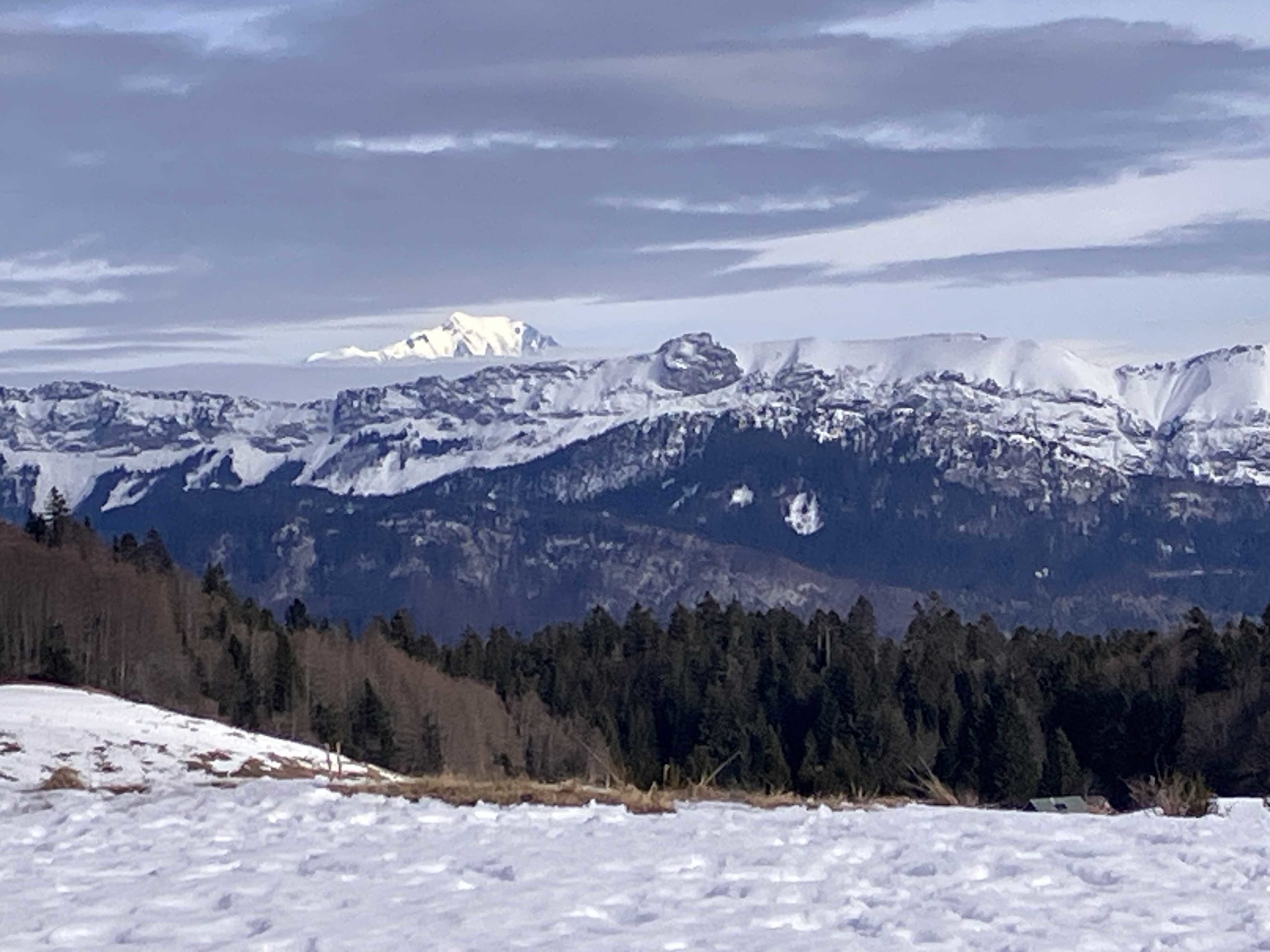 IMG_9095_petit-fichier